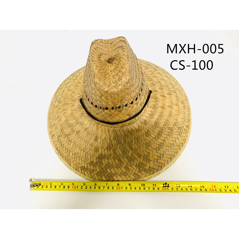MXH-005 CS-100